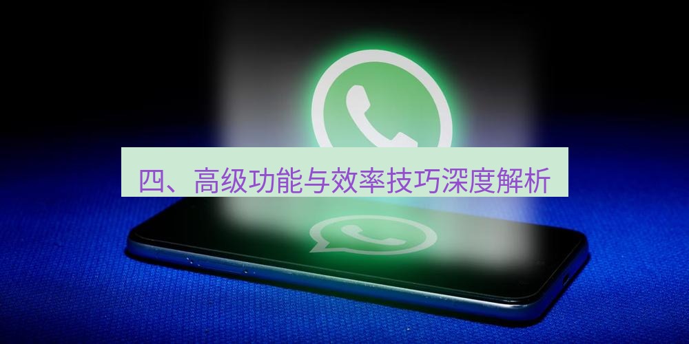 whatsapp官网 四、高级功能与效率技巧深度解析