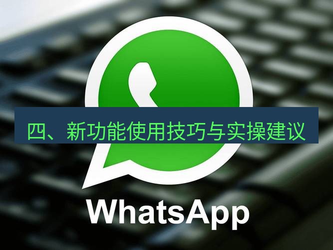 whatsapp官网 四、新功能使用技巧与实操建议